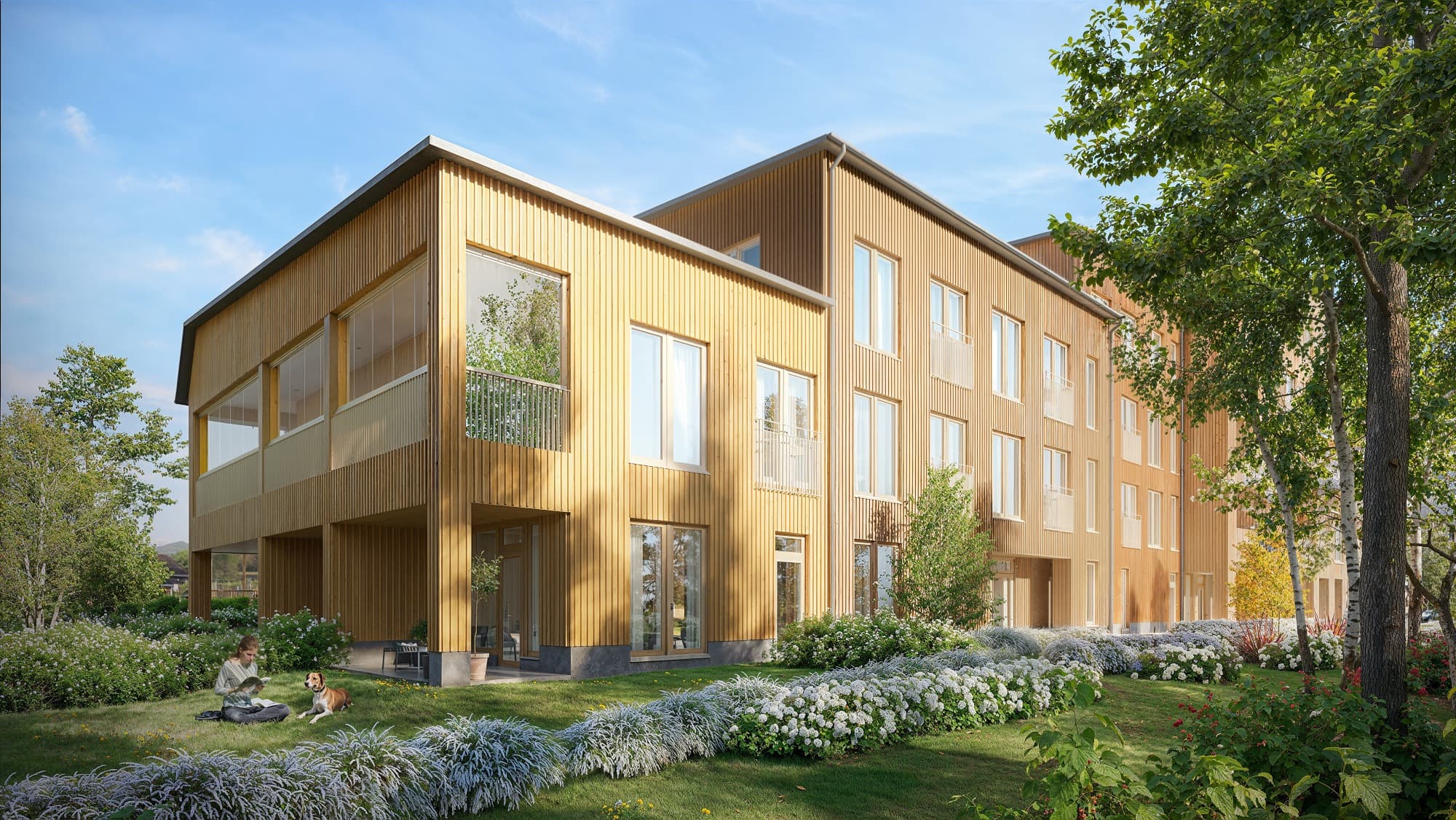 3D Visual Exterior Residential